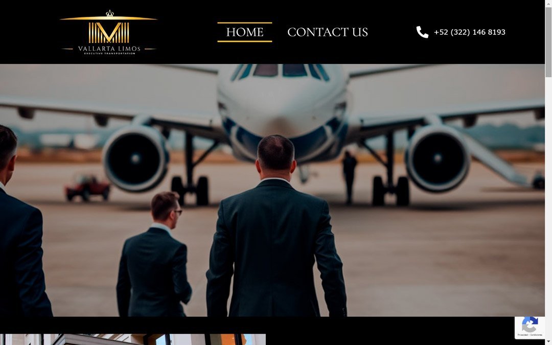 vallarta-limos-diseno-de-sitio-web-1