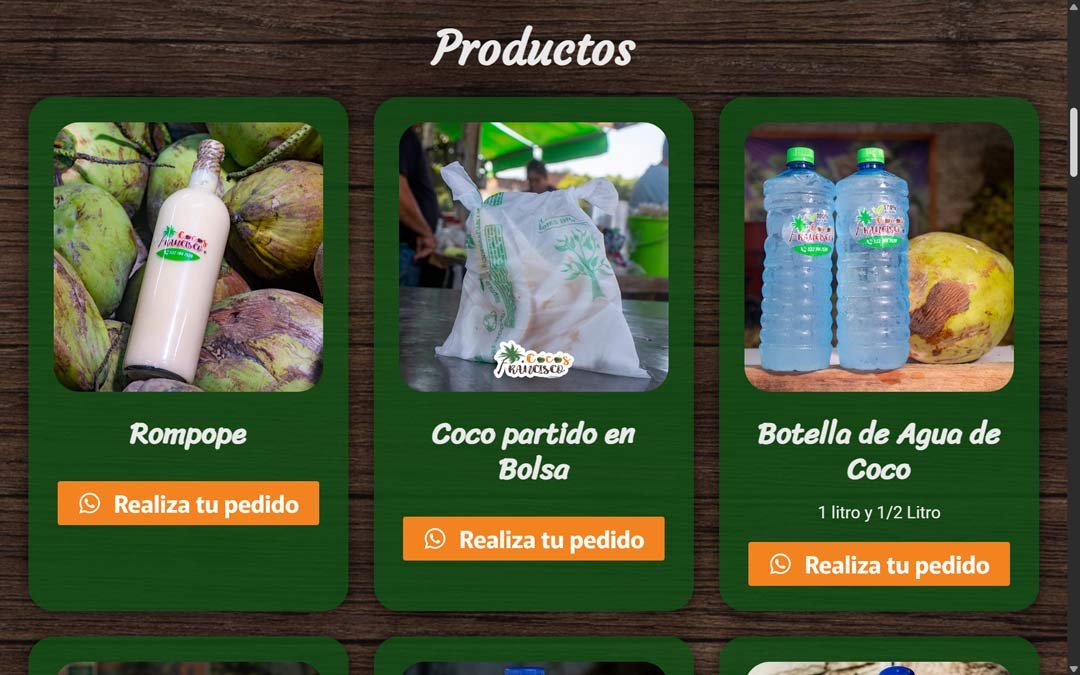 cocos-francisco-diseño-de-sitios-web-2